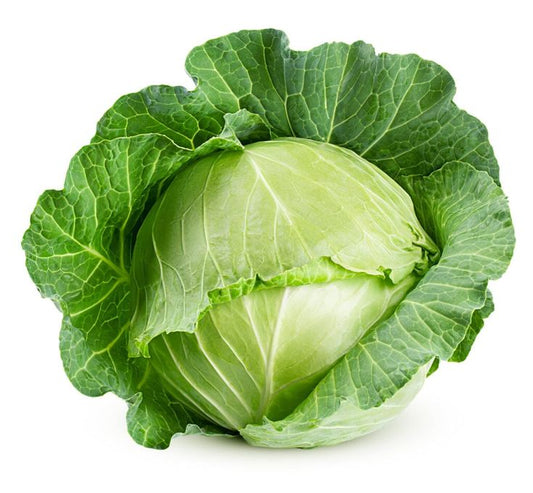 Band ghobi (Green Cabbage)